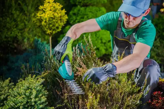 landscaping services Pocasset